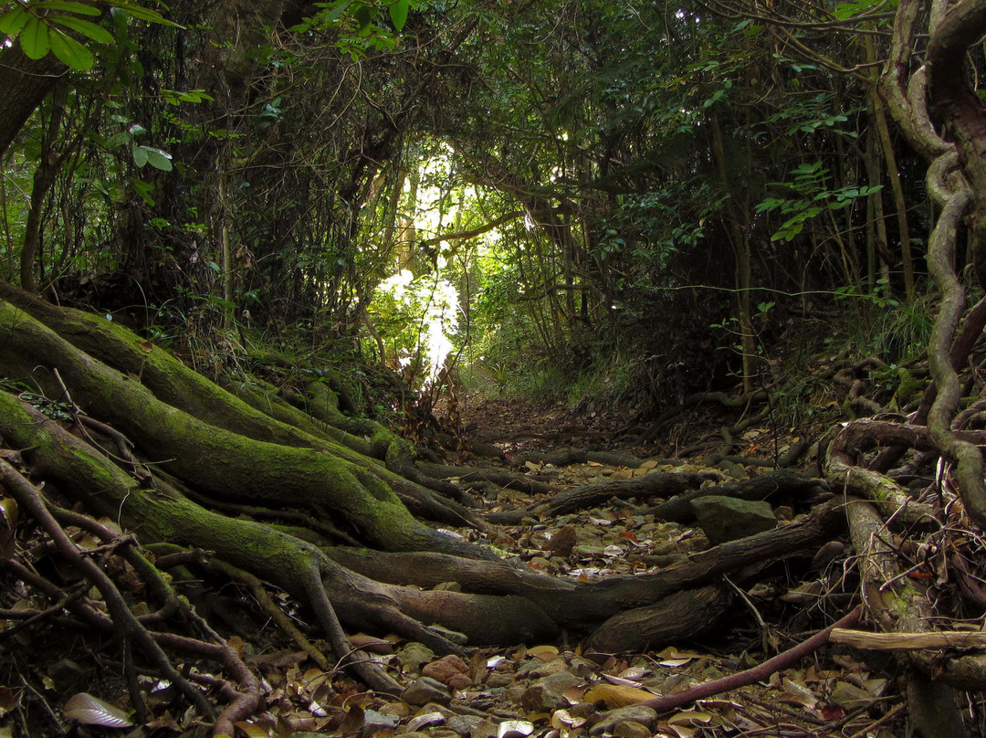 N'Ga Peak-Ile Des Pins必去景点