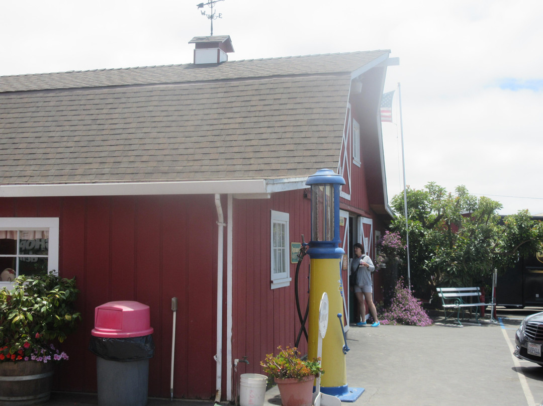 Gizdich Ranch-沃森维尔必去景点