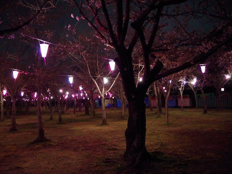 Mukaiyama Park-丰桥市必去景点