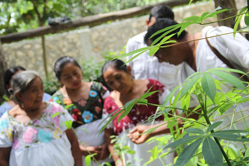 Casa Itzamná-Coba必去景点