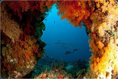 Safari Bali-克罗柏坎必去景点