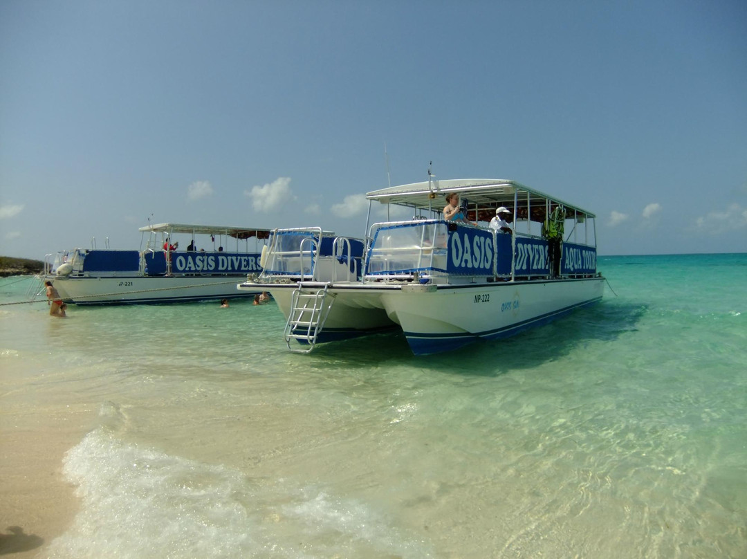 Chukka Caribbean Adventures-Grand Turk必去景点