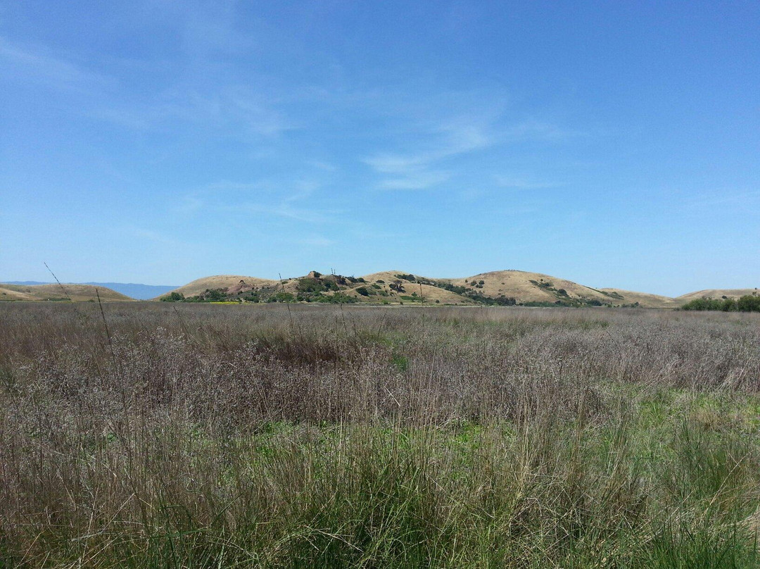 Coyote Hills Regional Park-费利蒙必去景点