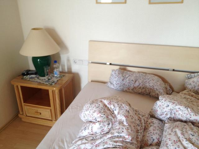 Gudrun's Gäestehaus-客卧