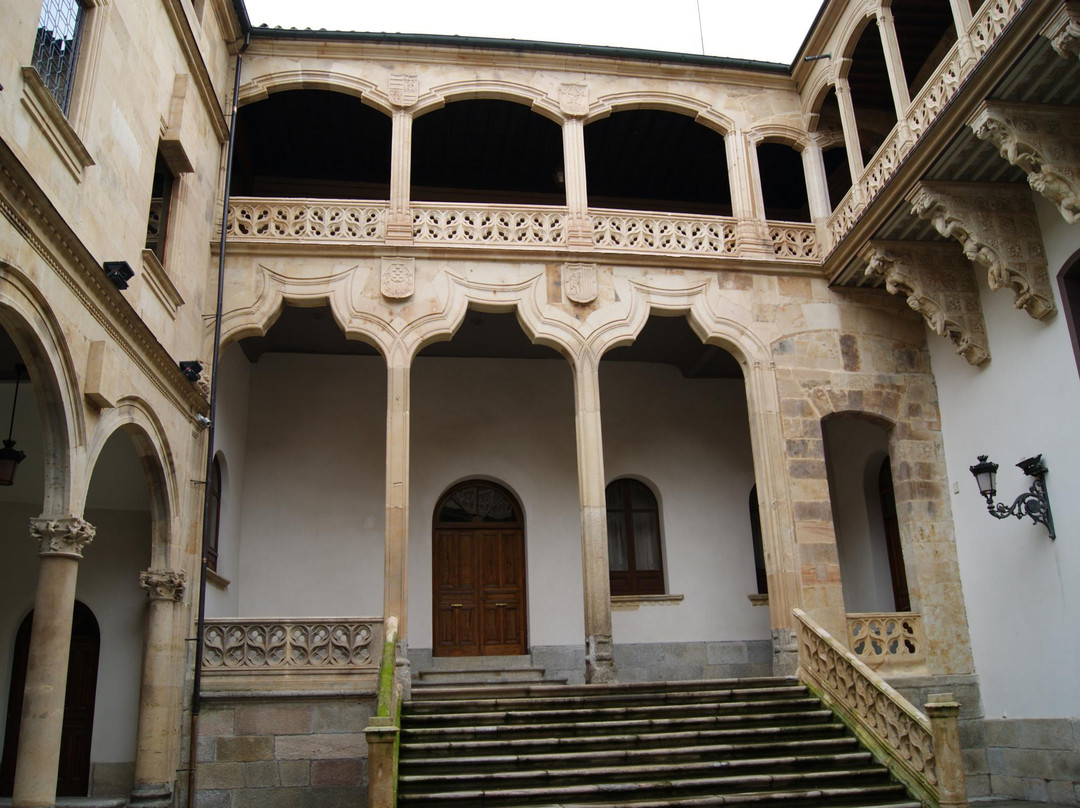 Palacio de la Salina-萨拉曼卡必去景点