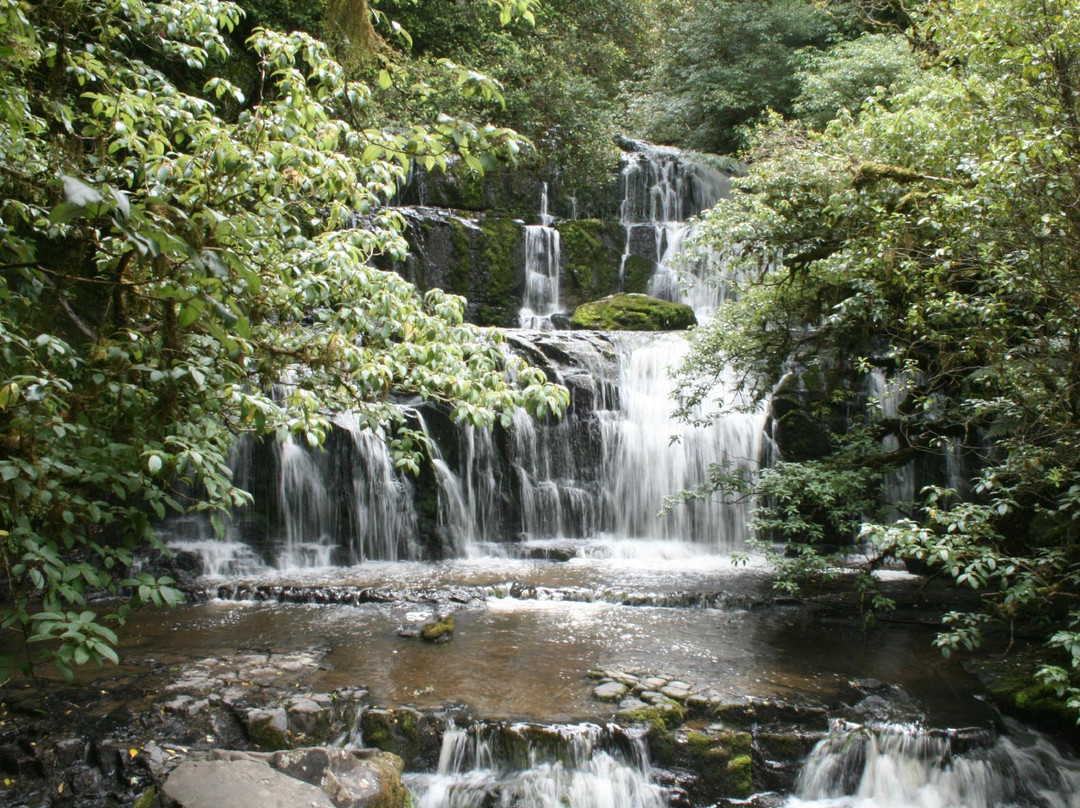 Purakaunui Falls Walk景点图片