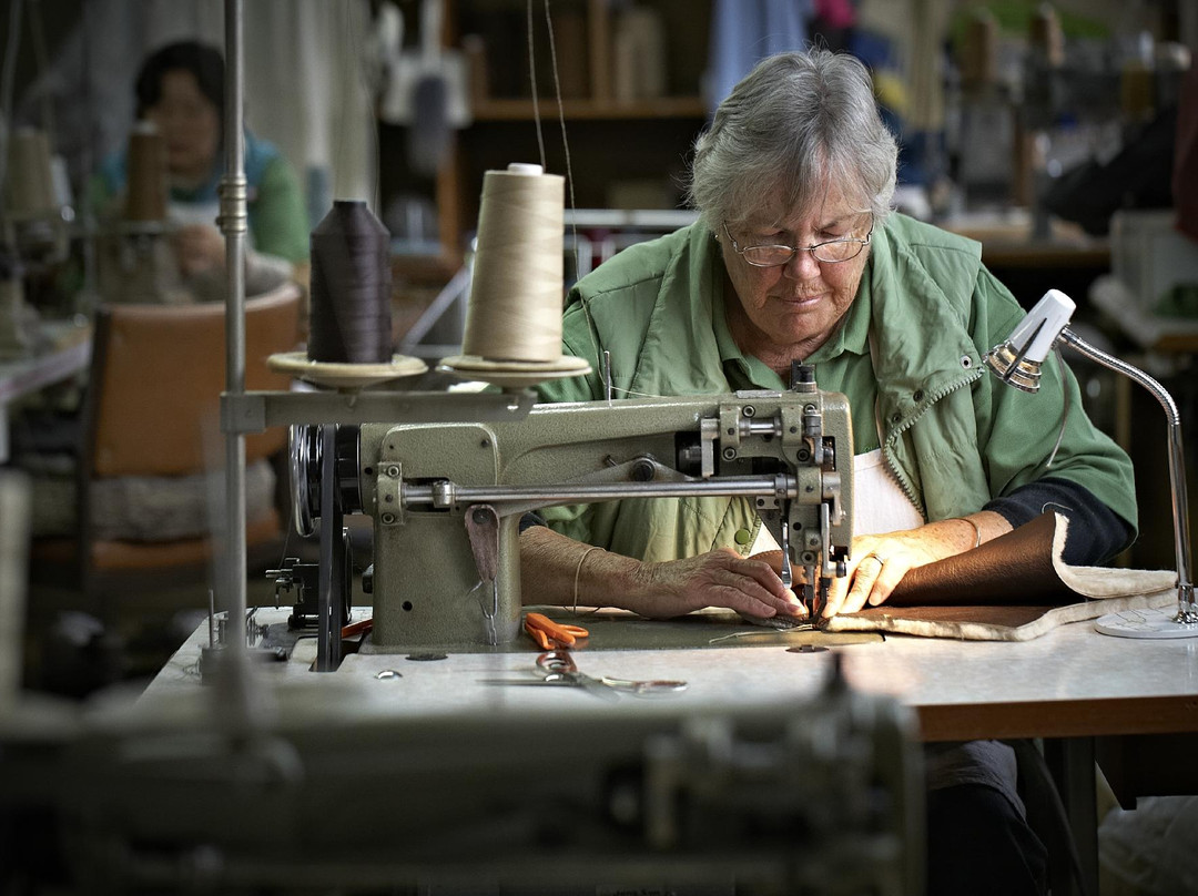 Classic Sheepskin Tannery-纳皮尔必去景点