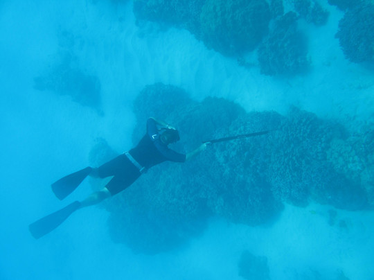 Top Shot Spearfishing-凯鲁瓦-柯纳必去景点