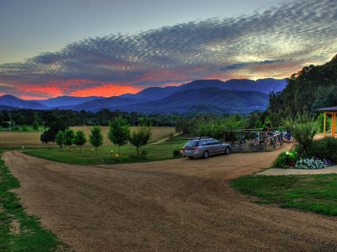 Ringer Reef Winery-Porepunkah必去景点