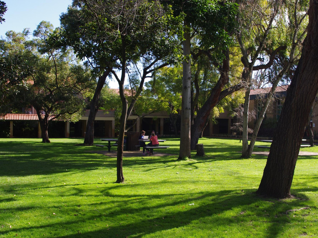 Trinity on Hampden主图