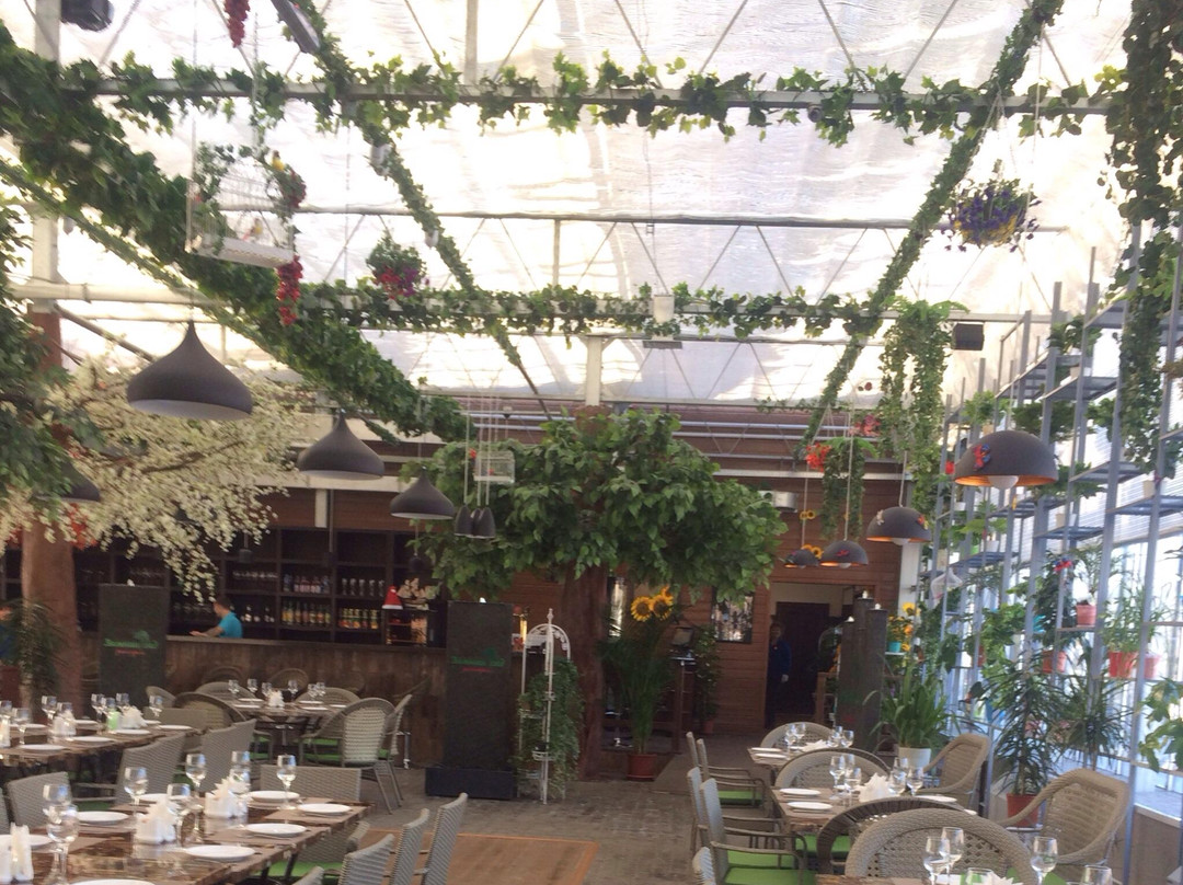 Chyornaya Rechka餐馆和美食-Zimny Sad