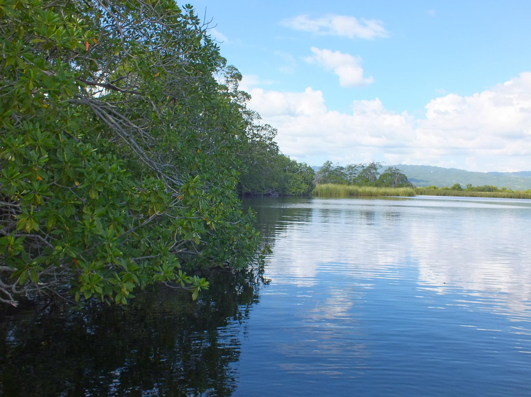 J. Charles Swaby's Black River Safari-Black River必去景点
