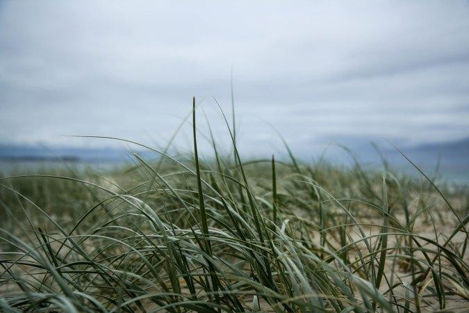 鲷鱼岩-库伦加塔必去景点