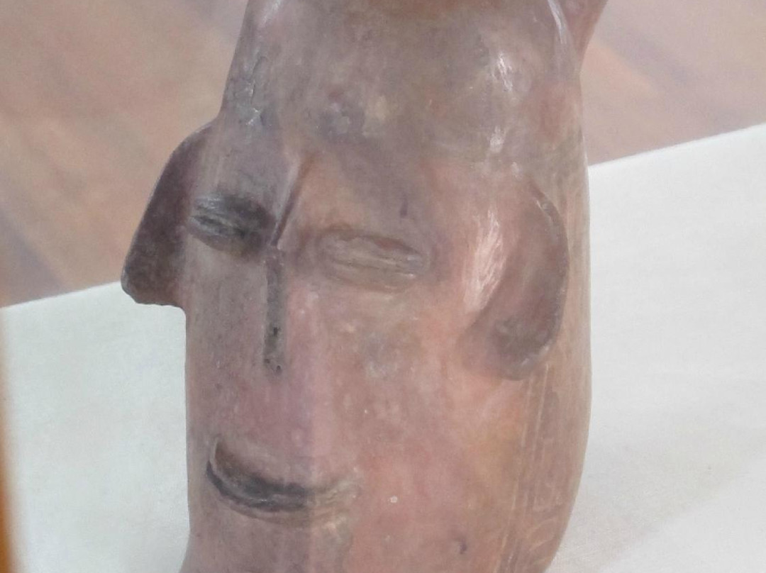 Museo Charcas (University Museum Colonial & Anthropological)-苏克雷必去景点