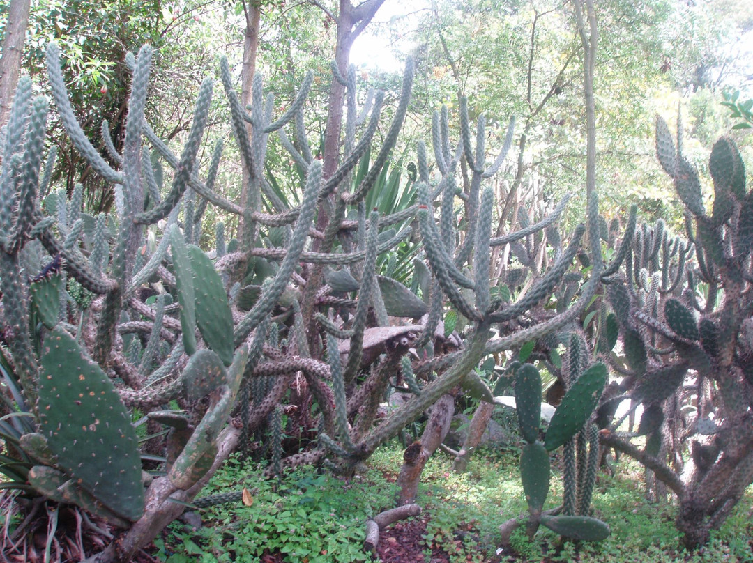 Jardín Botánico de Quito-基多必去景点