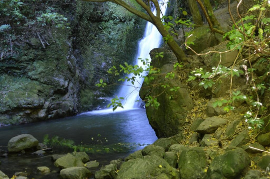 奥豪溪畔漫步之旅-Kaikoura必去景点
