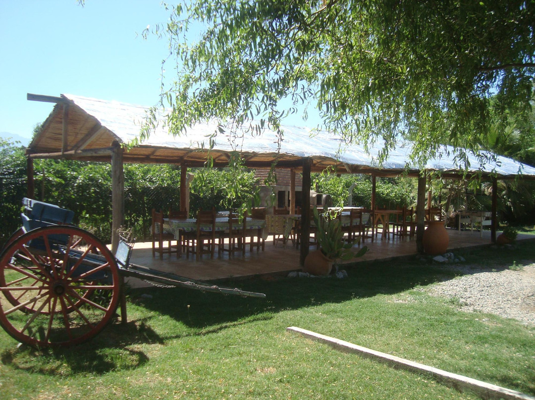 Cabañas las viñas Full