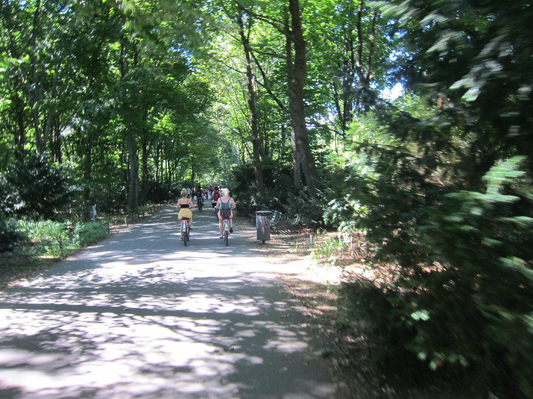 Unlimited Biking-柏林必去景点