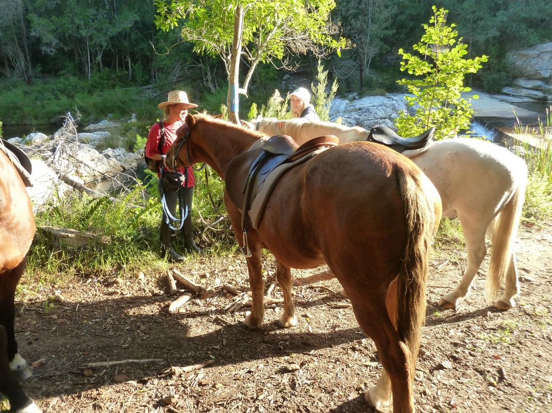 Garden Route Horse Trails-荒野必去景点