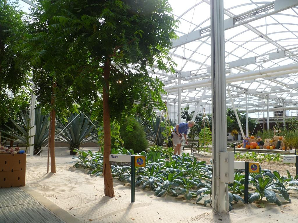 未来世界-奥兰多必去景点