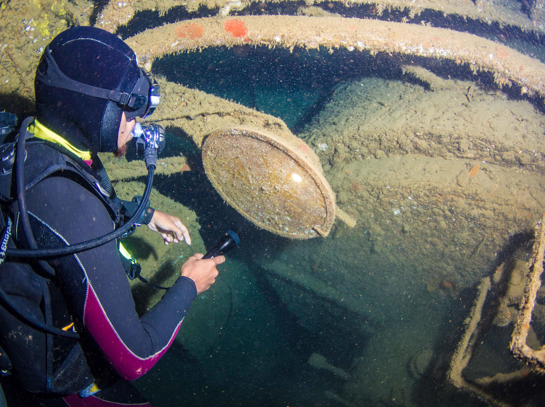 Allan Power Dive Tours-埃斯皮里图桑托岛必去景点