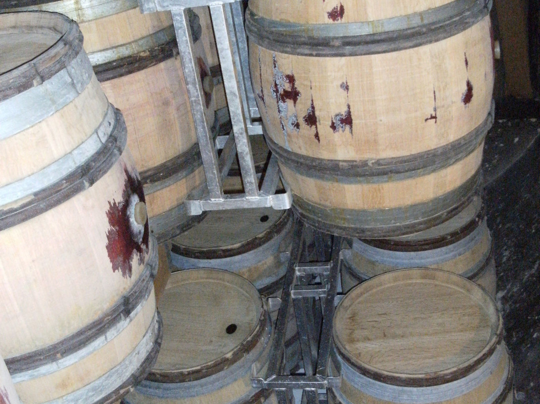 Domaine Franck Besson-Jullie必去景点