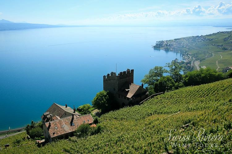 瑞士海滨红酒之旅景点图片