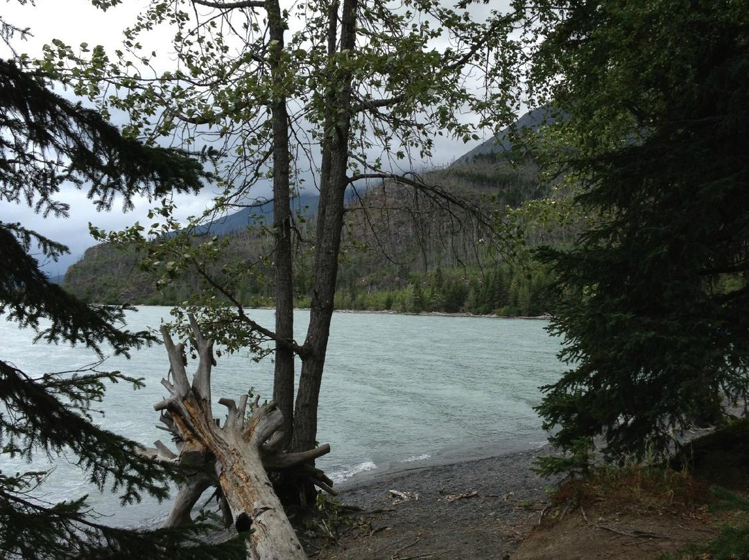 Chugach National Forest-苏厄德必去景点