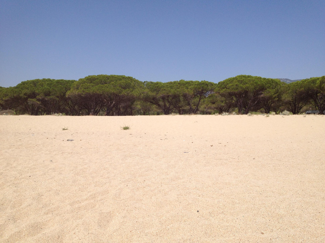 Spiaggia Osalla di Orosei-奥罗塞必去景点