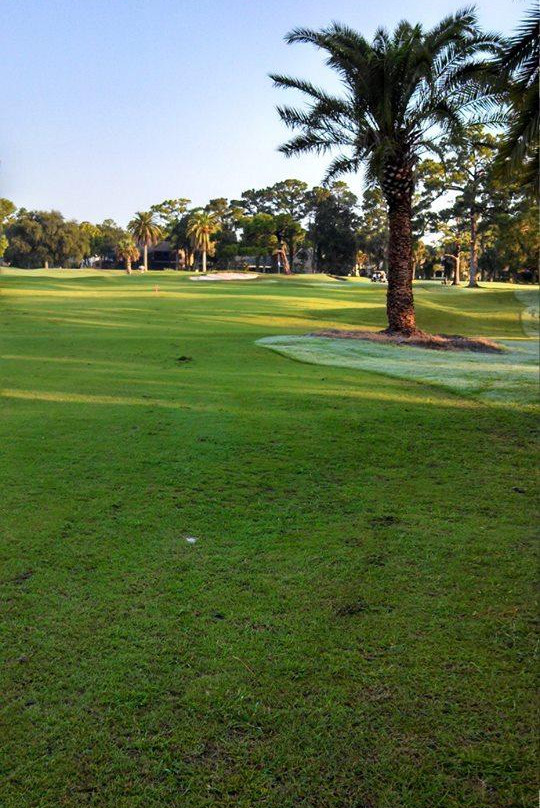 New Smyrna Beach Golf Course景点图片