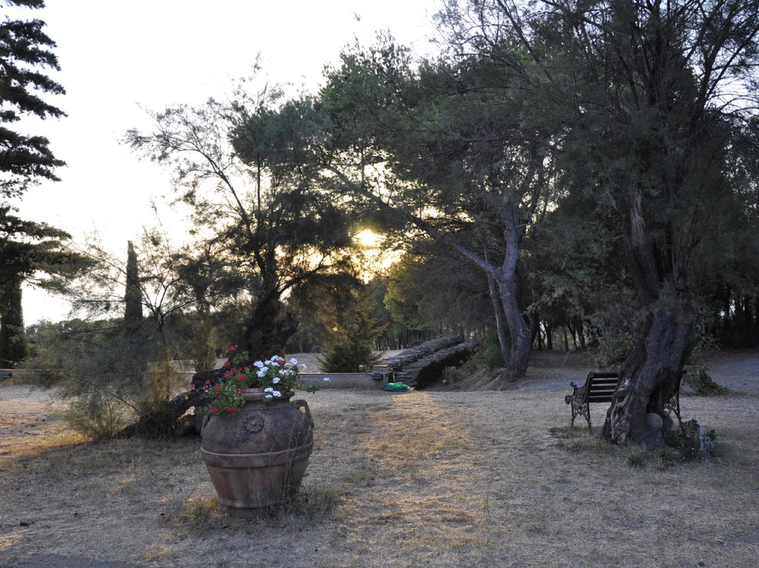 Agriturismo Alberelli