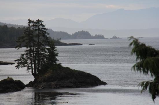 Scotia Bay Bed and Breakfast-酒店景观
