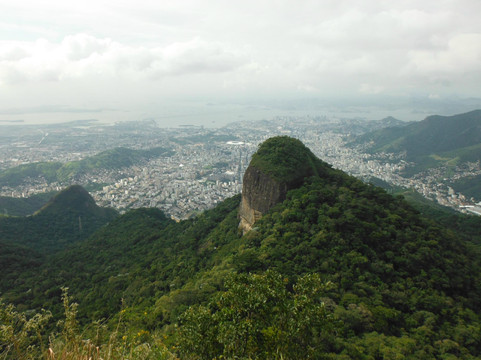 Jungle Me - Hiking and Trekking Ecotours-里约热内卢必去景点
