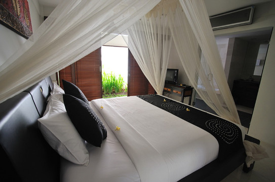 巴厘岛朵帕蒂别墅主图