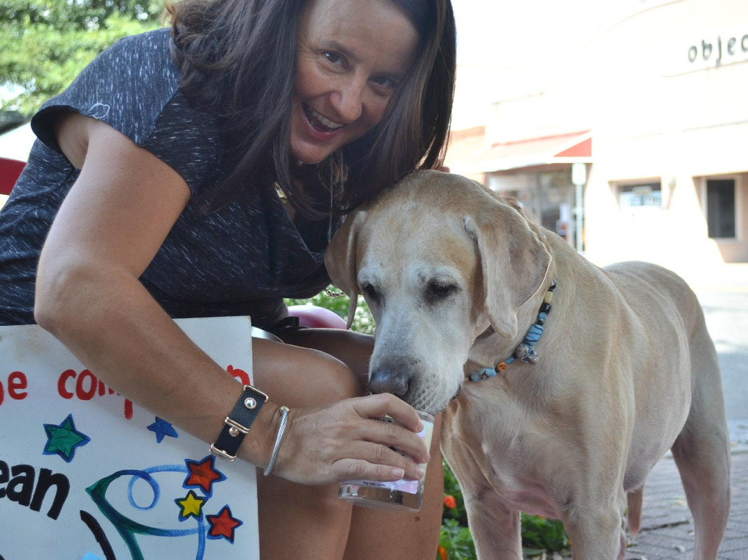 Birmingham Candle home of The Bay Candle & Gifts-费尔霍普必去景点