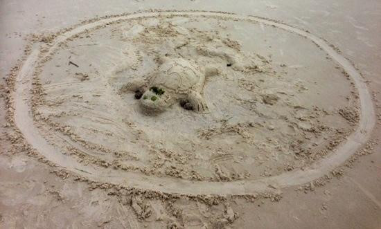 白天堂海滩-圣灵群岛必去景点