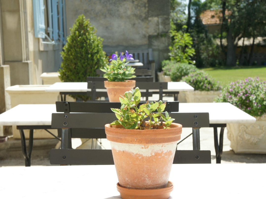 Domaine de la Chevaliniere主图