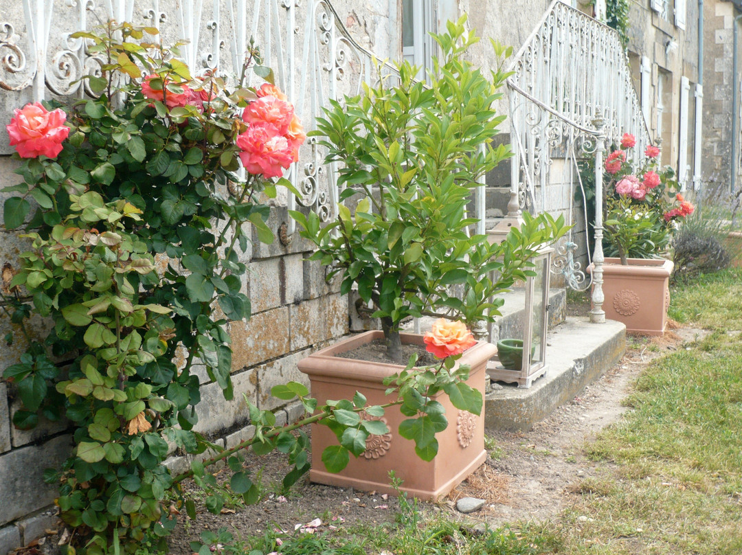 Domaine de Montgenoux主图