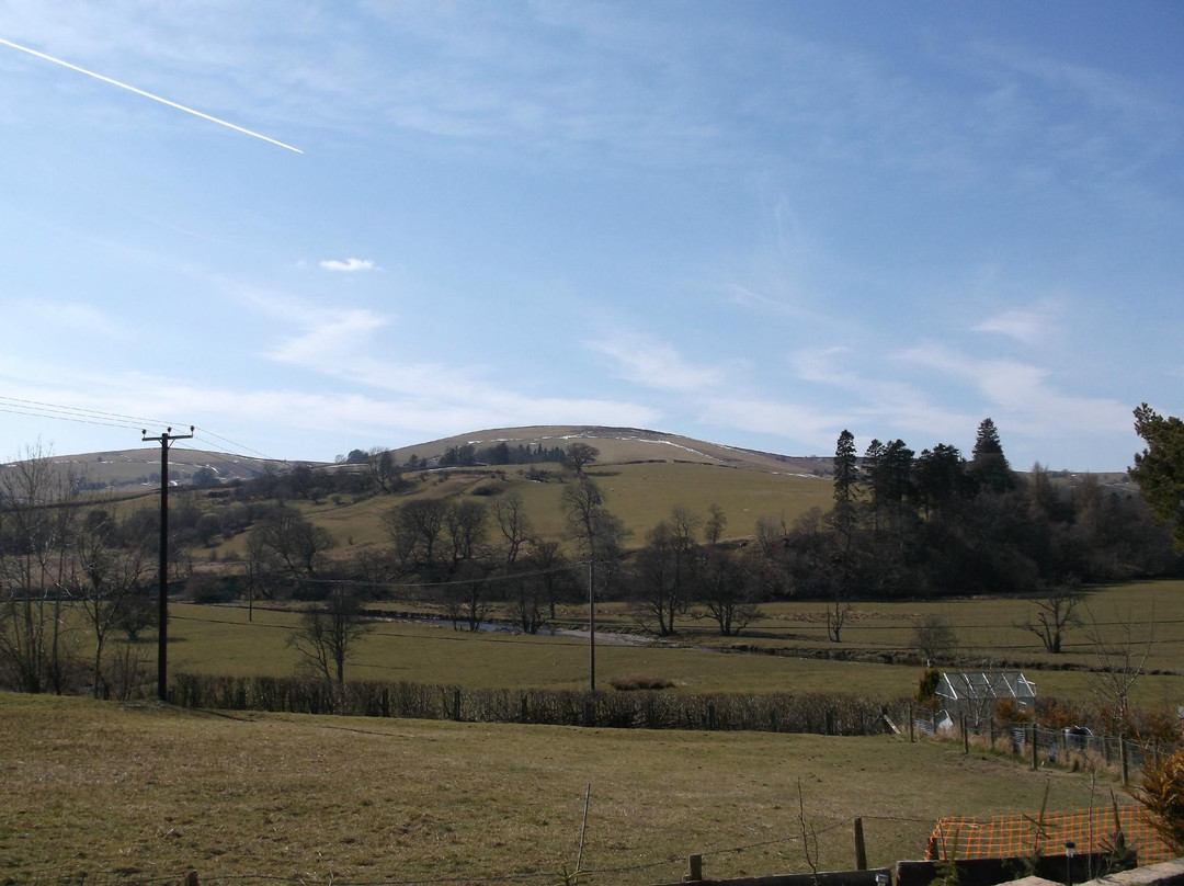 Thistledo House B&B主图