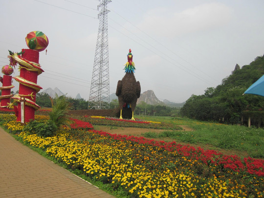 花花大世界 -南宁市必去景点