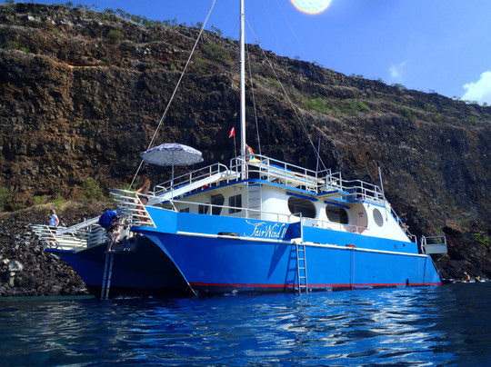 大岛顺风浮潜之旅-凯鲁瓦-柯纳必去景点