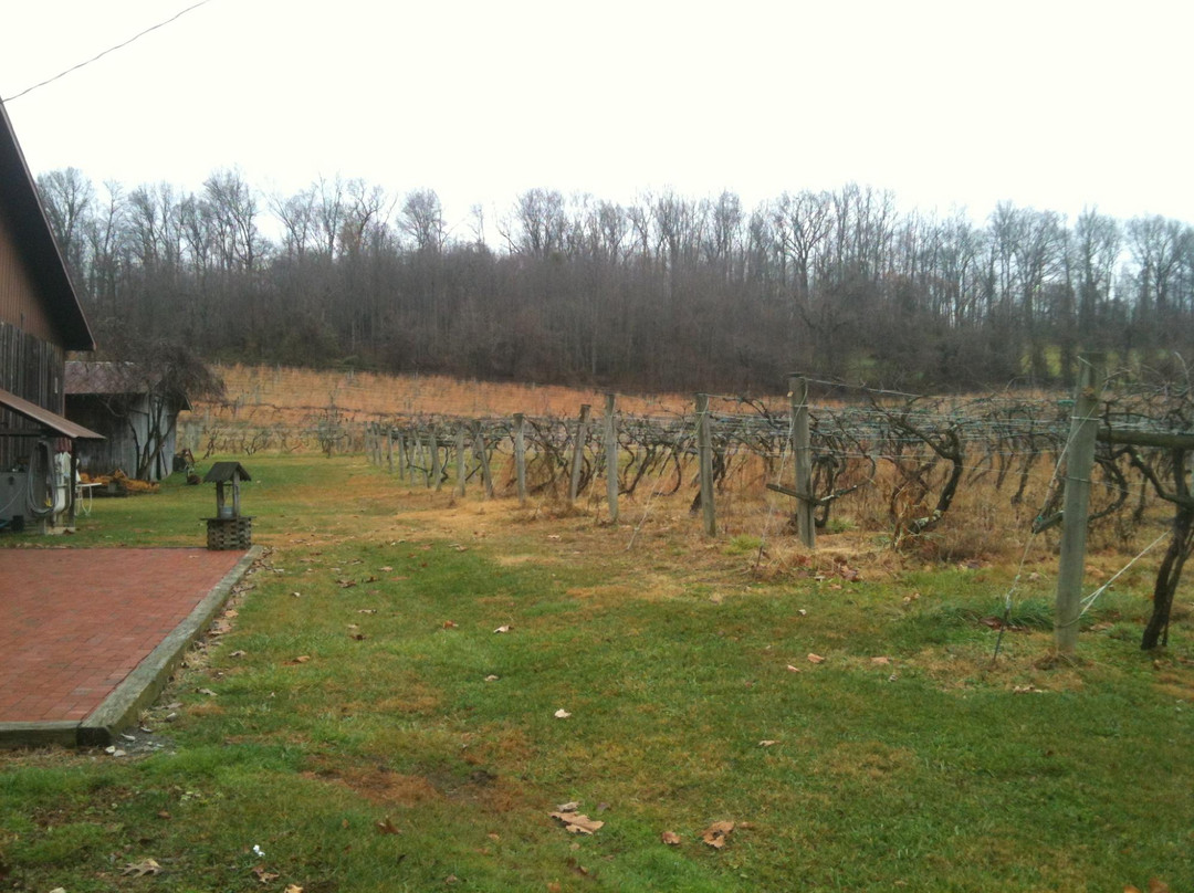 Countryside Vineyards & Winery-Blountville必去景点