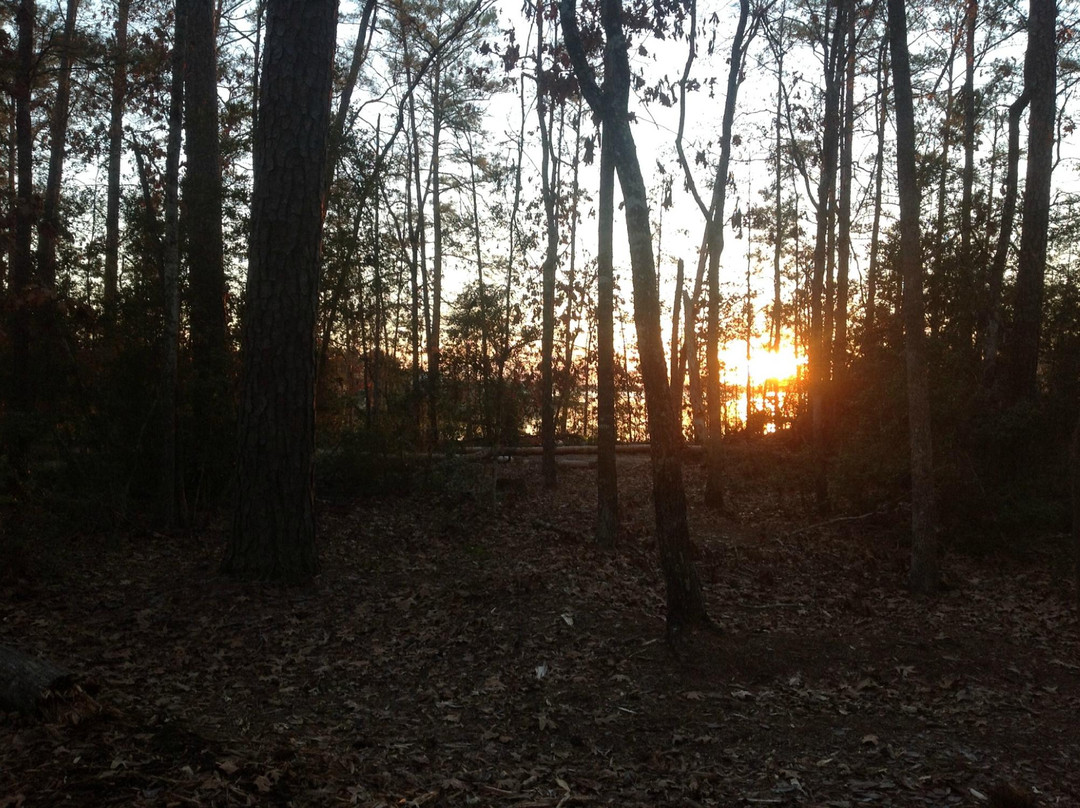 Lake Livingston State Park-利文斯顿必去景点