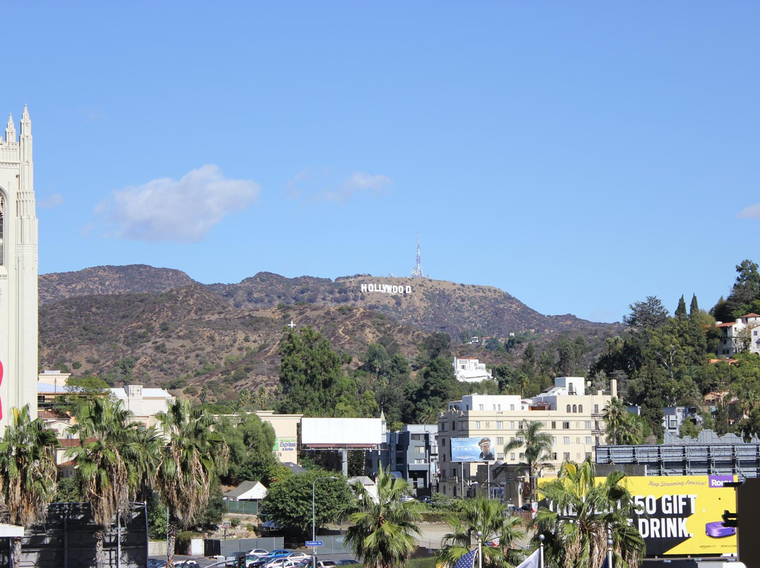 LA VIP Tours & Charters-洛杉矶必去景点