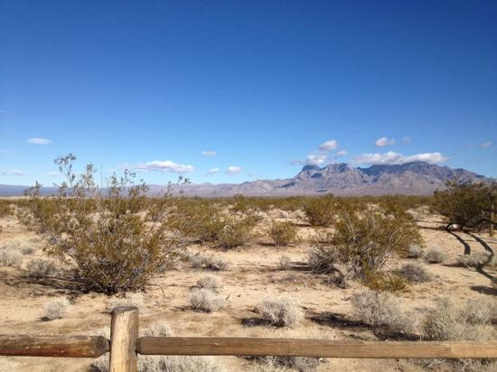 Mojave National Preserve-巴斯托必去景点