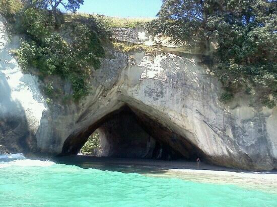 Cathedral Cove Scenic Cruises-菲蒂昂格必去景点