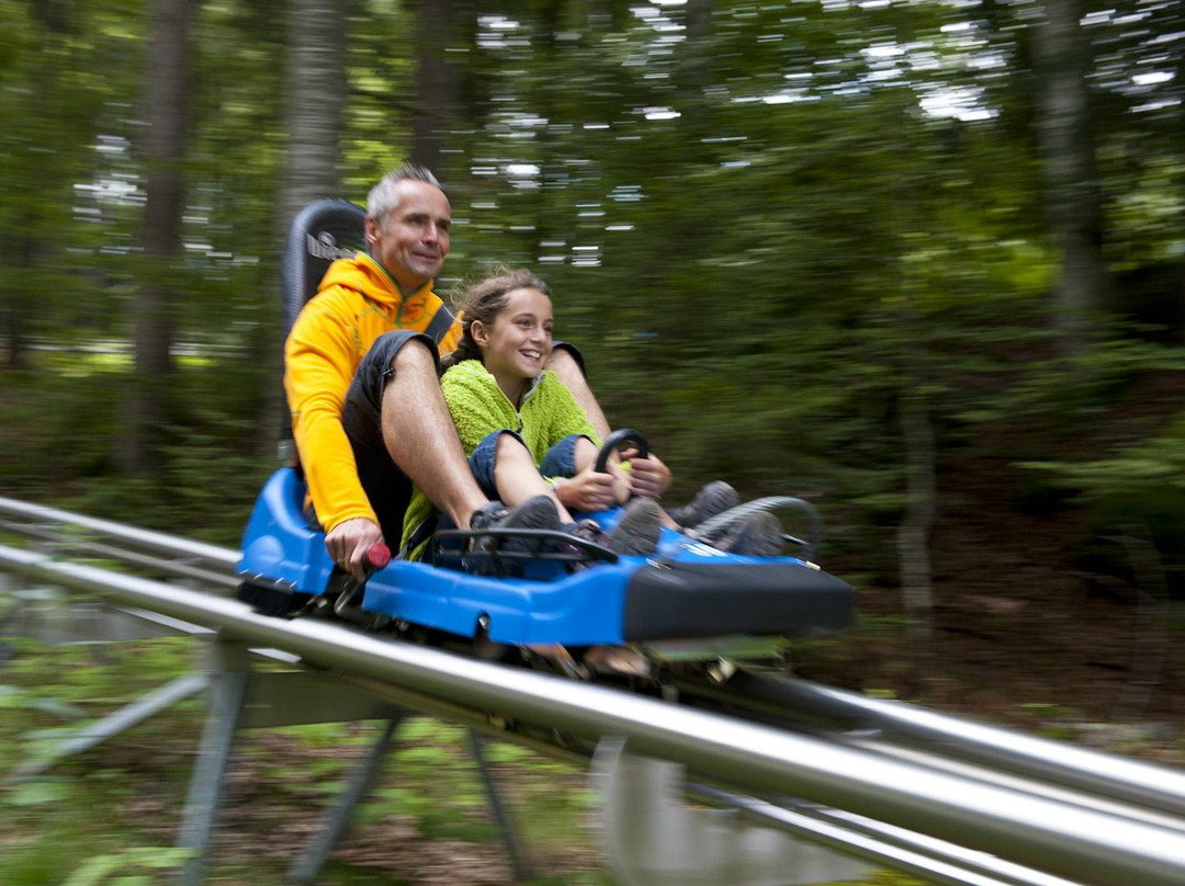 Alpine-Coaster-Golm-Latschau必去景点
