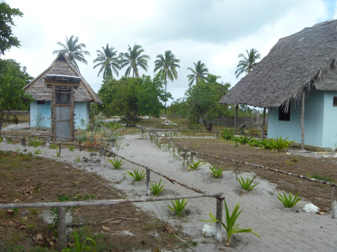 Didimiza Guest House