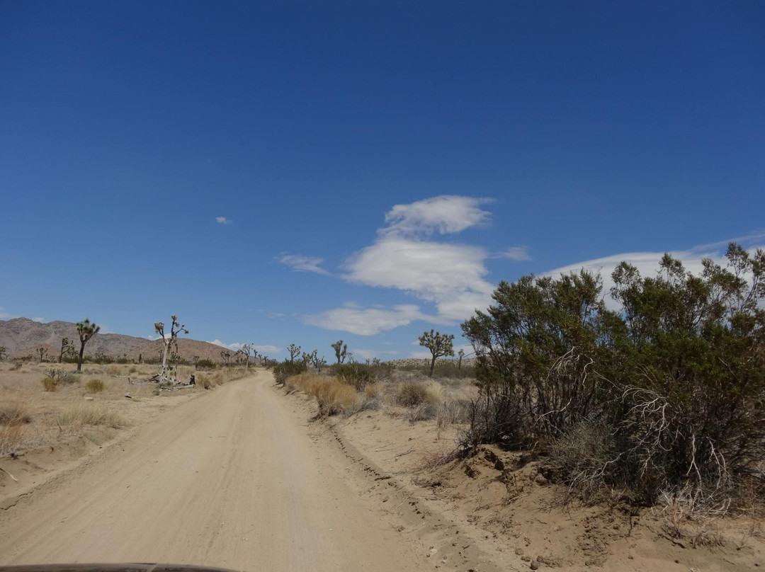 Queen Valley Road-约书亚树国家公园必去景点