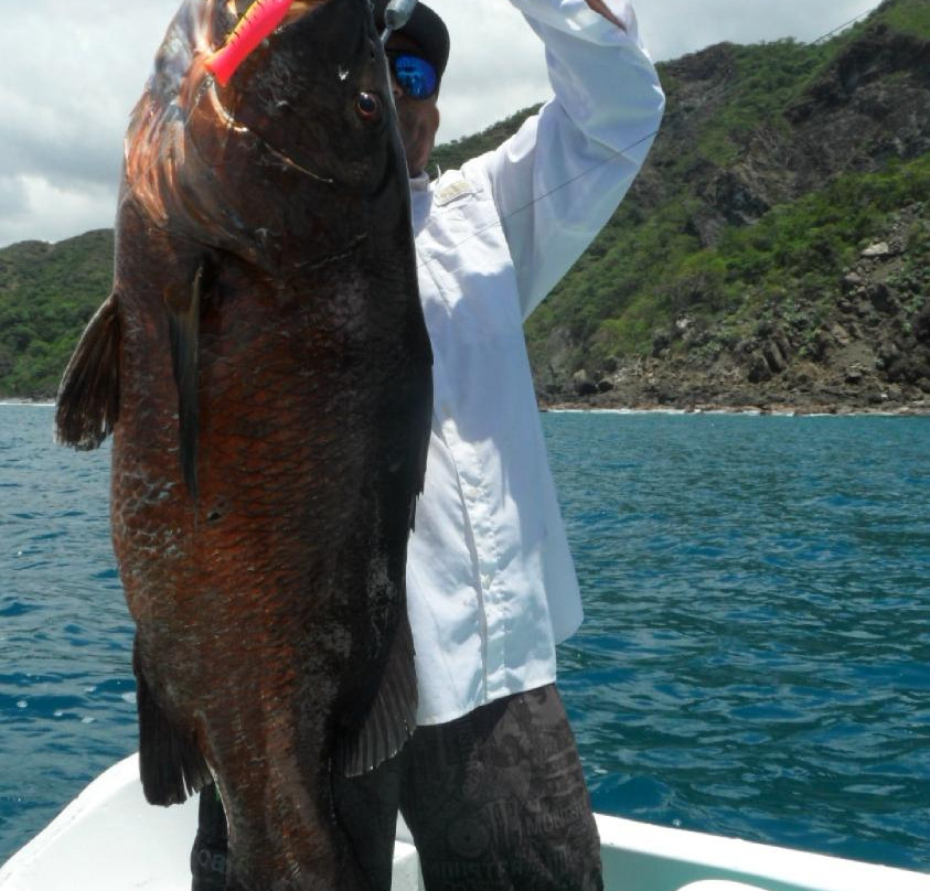 Papagayo Gulf Sport Fishing - North Pacific Tours景点图片